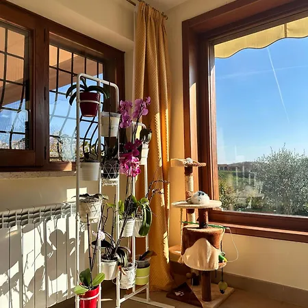 Linda's Retreat * Fiano Romano